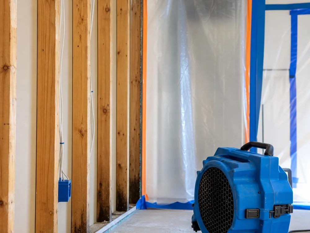 Contained work area with taped plastic, a running HEPA air scrubber, and cleaned exposed wall studs after drywall removal